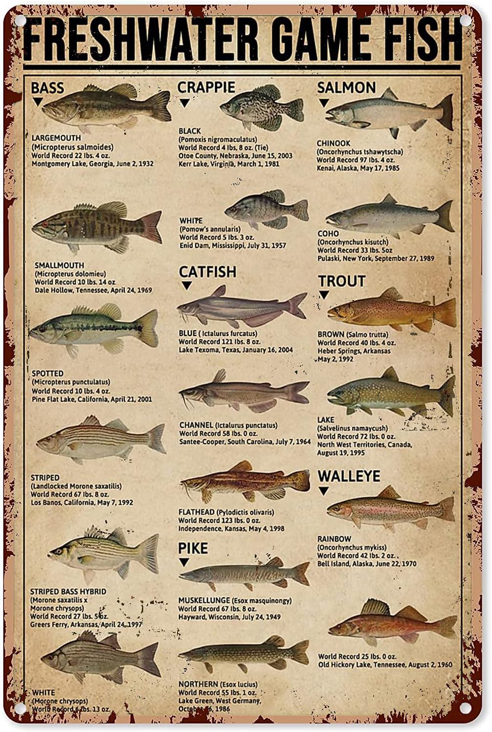 Retro Gaming Decor - Y1,Fishing Art Posters Metal Sign Freshwater